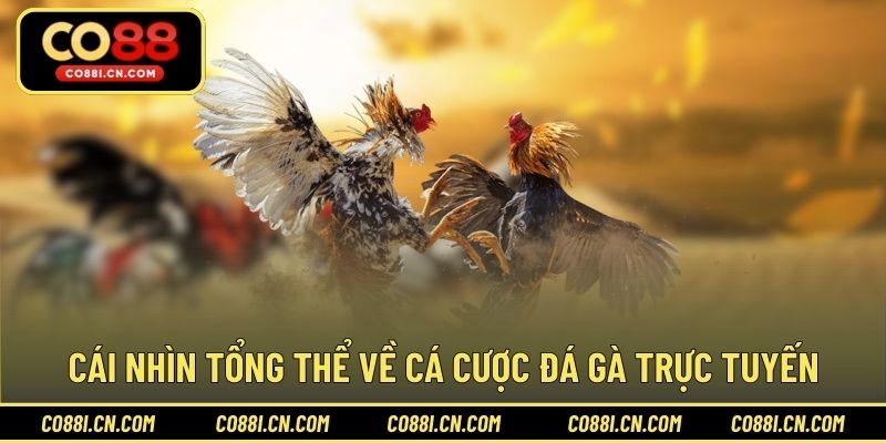 Chơi Cá Cược Đá Gà - Bí Quyết Thắng Lớn Dễ Dàng Tại CO88 - kovagu