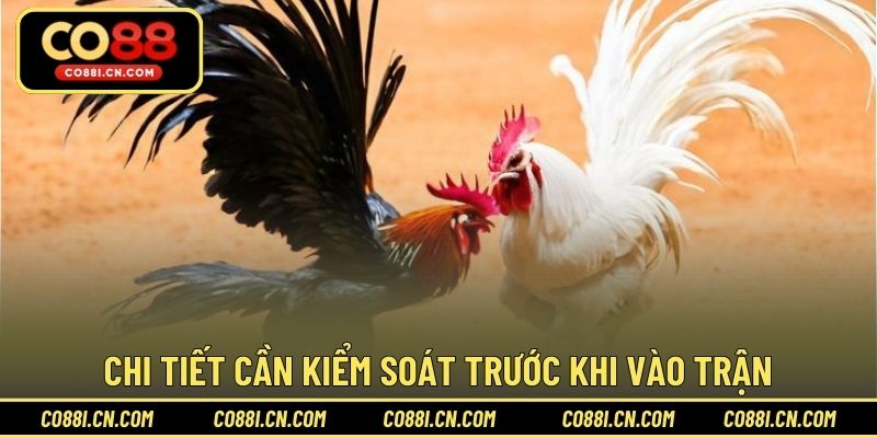 Cách Băng Cựa Gà – Hướng Dẫn Thực Hiện Đúng Kỹ Thuật - kovagu