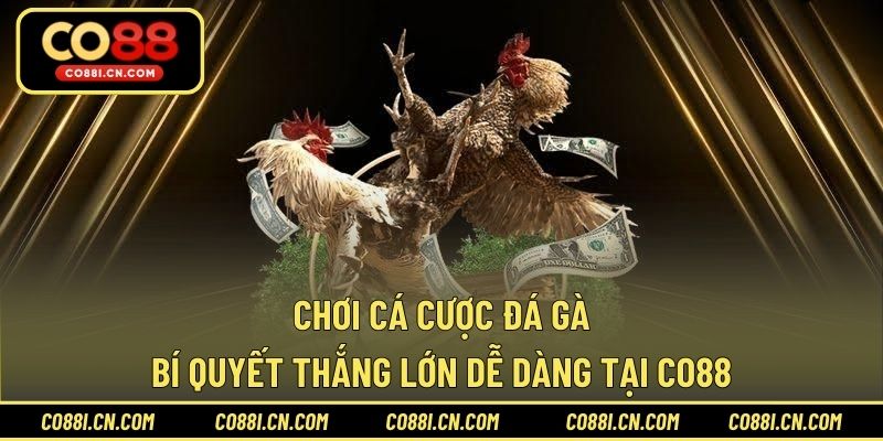 Kèo Châu Á - Hướng Dẫn Tìm Hiểu Loại Kèo Được Ưa Chuộng Nhất - kovagu