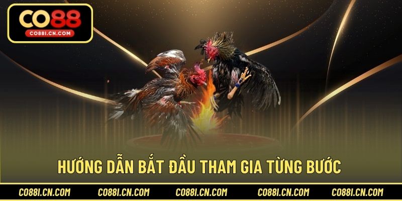 Chơi Cá Cược Đá Gà - Bí Quyết Thắng Lớn Dễ Dàng Tại CO88 - kovagu