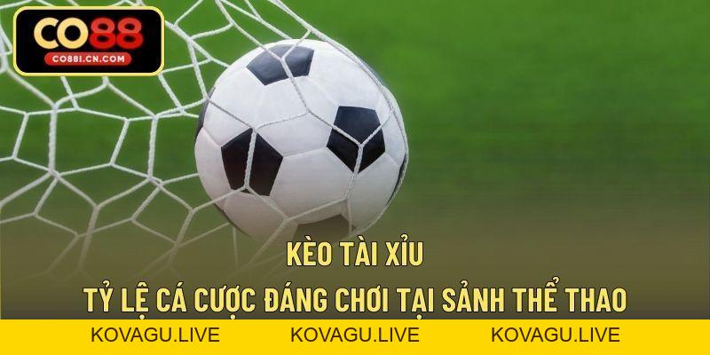 Bài Mậu Binh – Game Bài Giải Trí Chất Lượng Dễ Thắng - kovagu