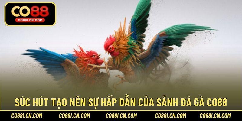 Đá Gà CO88 – Sảnh Cược Chơi Hấp Dẫn Hàng Đầu Năm 2026 - kovagu