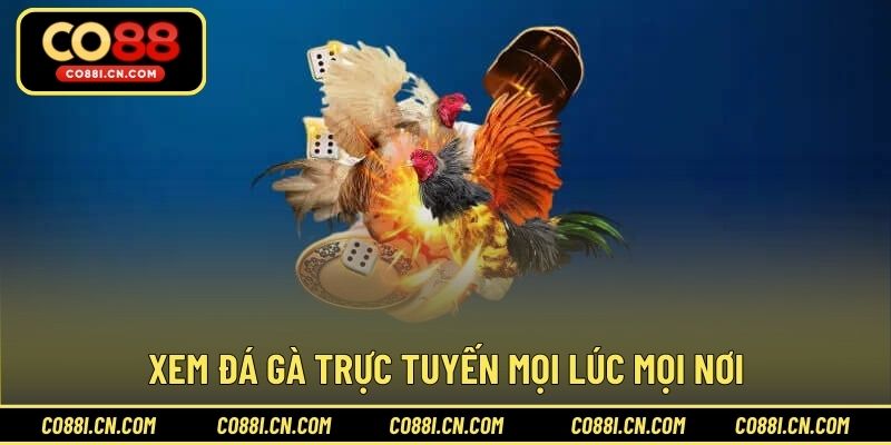 Đá Gà Trực Tiếp - Kênh Giải Trí Hấp Dẫn Cho Hội Viên - kovagu