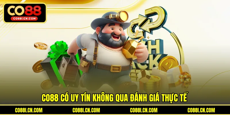Co88 Có Uy Tín Không - Đánh Giá Chi Tiết Từ Người Chơi Thực Tế - kovagu